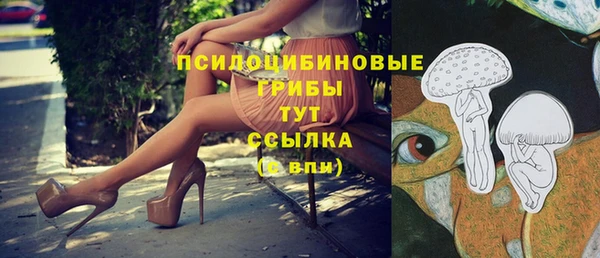 амф Алзамай