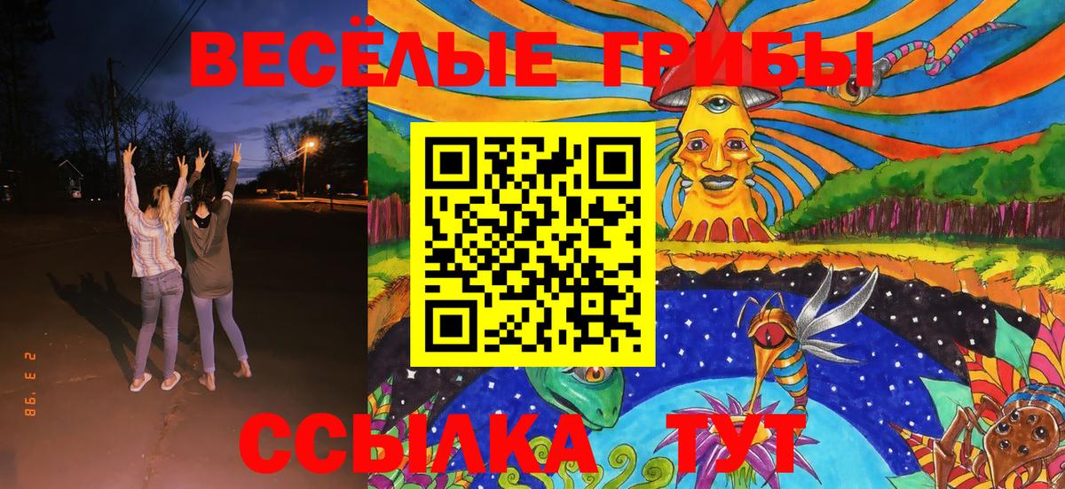 Балтийск  Галлюциногенные грибы прущие грибы  Вход с VPN  Галлюциногенные грибы мухоморы 
